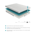 1bc1ac0d-a17c-4004-bd19-6a76bd131303